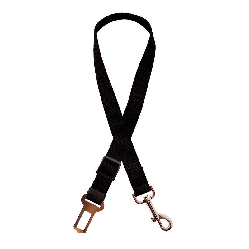 Nuvica SafeBuckle™