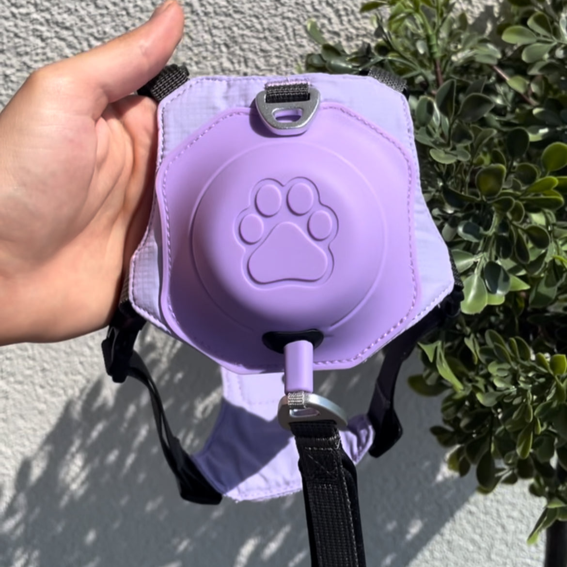 Ohhmydog Pro