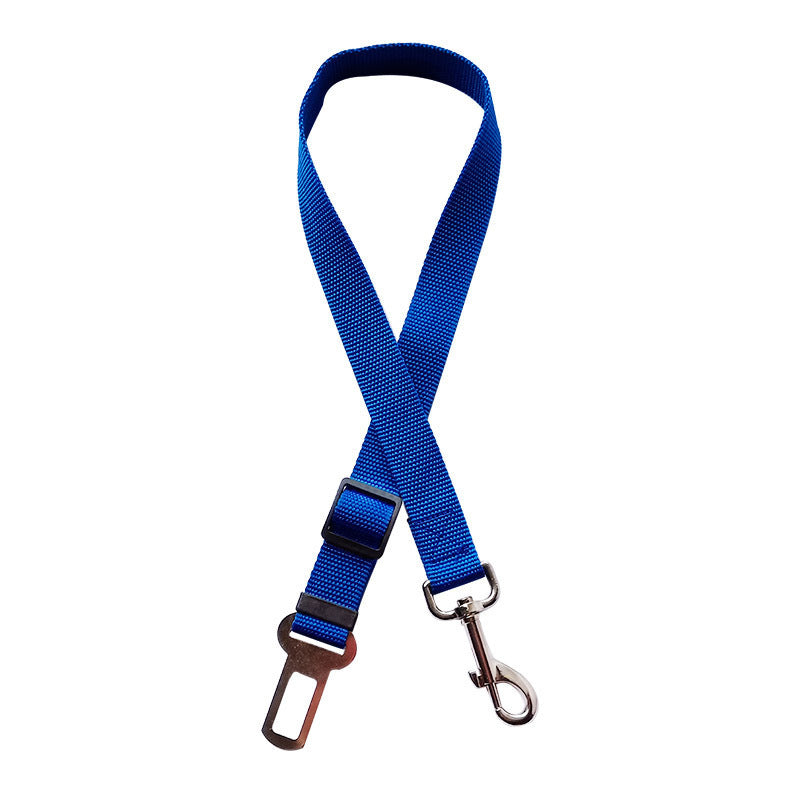 Nuvica SafeBuckle™