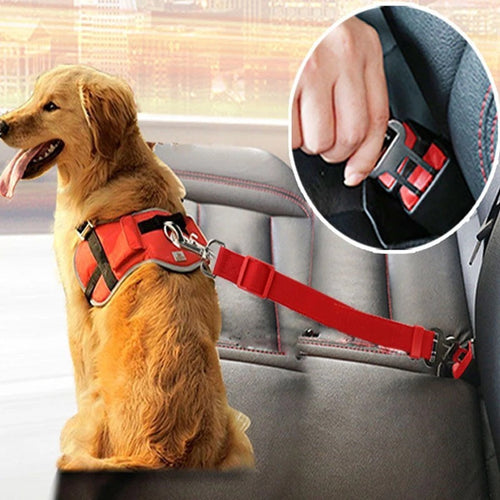 Nuvica SafeBuckle™